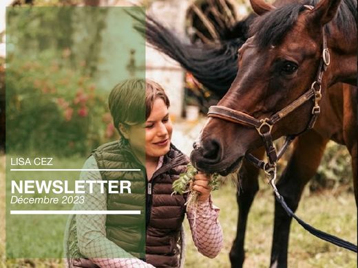 Couverture de la newsletter de Lisa Cez, décembre 2023