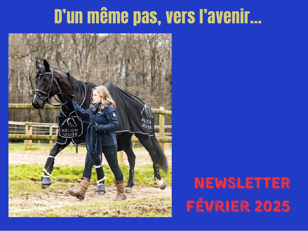 Couverture de la newsletter de Lisa Cez, février 2025