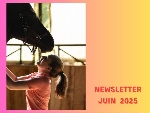 Couverture de la newsletter de Lisa Cez, juin 2025