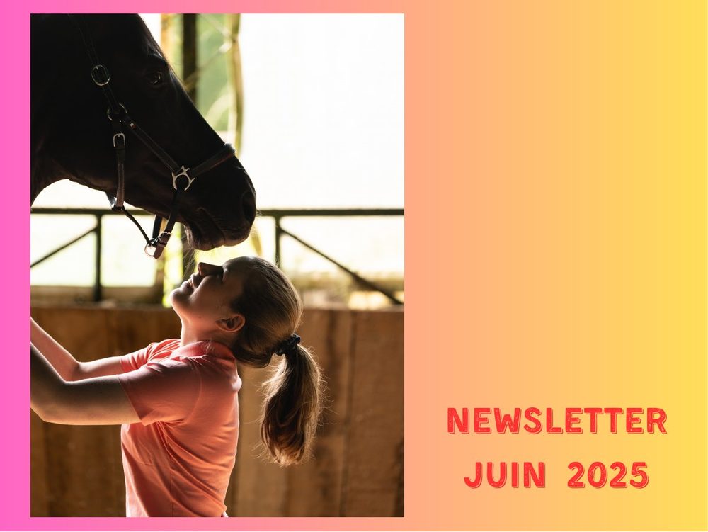 Couverture de la newsletter de Lisa Cez, juin 2025