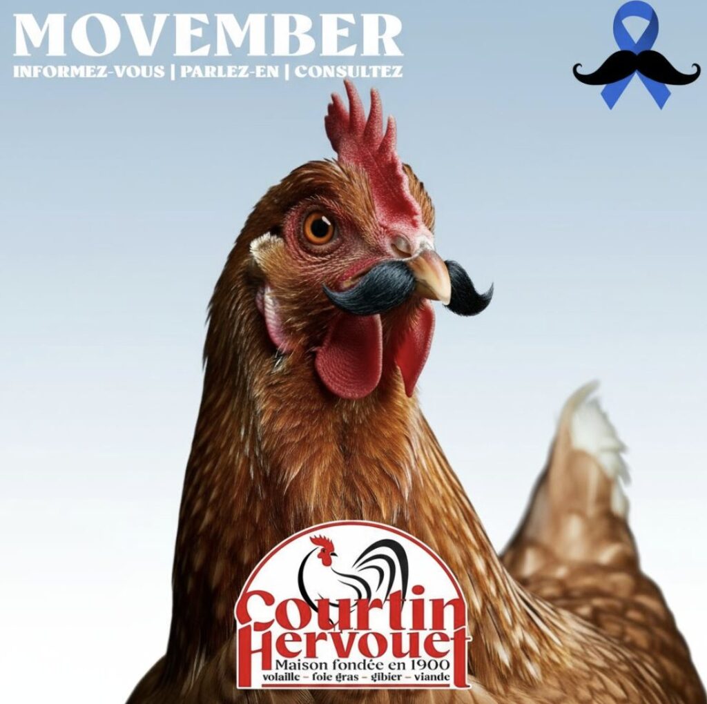 Poule à moustache du visuel Movember de Courtin Hervouet