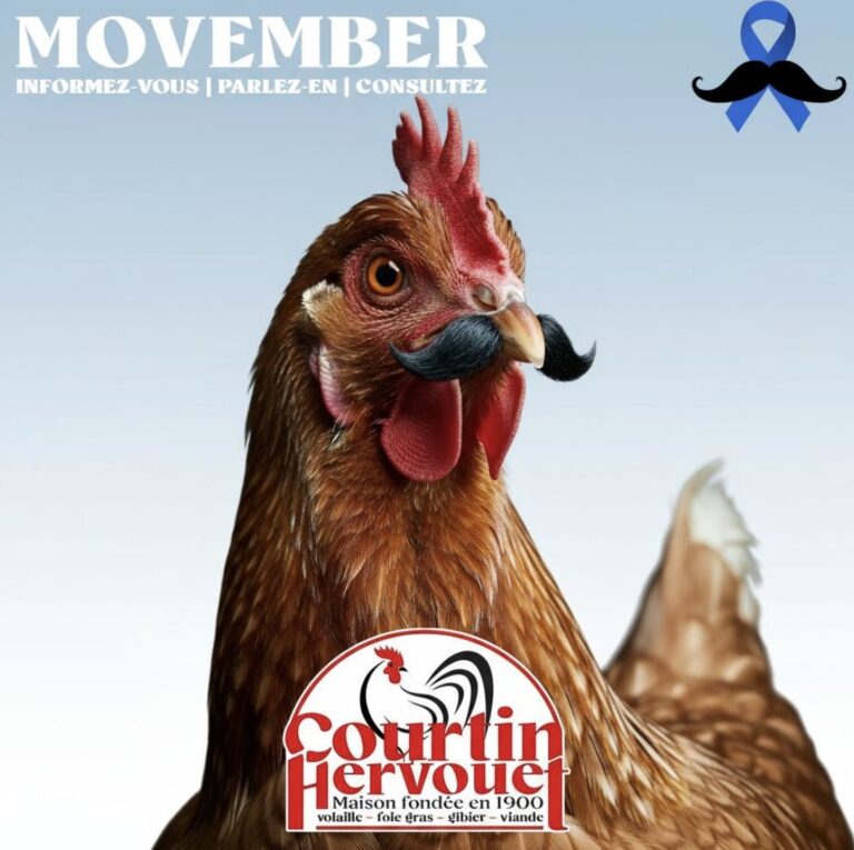 Poule à moustache du visuel Movember de Courtin Hervouet