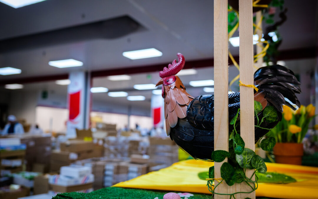 Le printemps s’invite sur le carreau de Rungis 🌸🐔