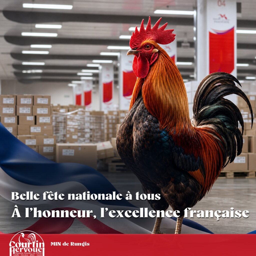 Coq devant un drapeau tricolore sur le carreau : belle fête nationale à tous